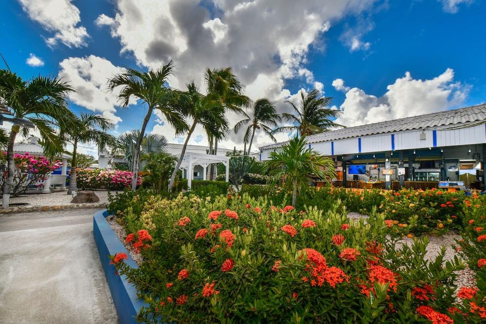 Aruba Blue Village Hotel And Apartments Palm Beach Kültér fotó